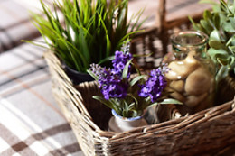 MERCEARIA D'ALEGRIA BOUTIQUE B&B