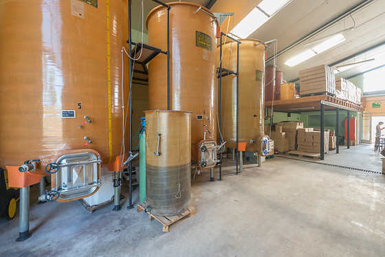 Scea Domaine des Gabies - photo 11
