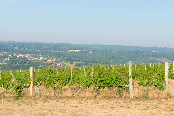 Scea Domaine des Gabies - photo 9