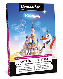 Disneyland® Paris - 1 dag/1 park/1 volwasseneticket