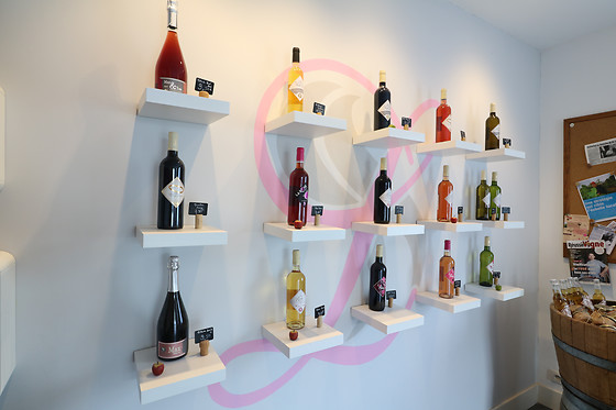 Domaine Saint Laurent de Saurs - photo 4