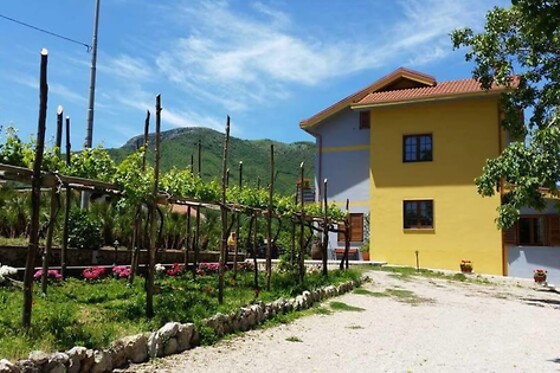 Online Booking EPS - photo 0
