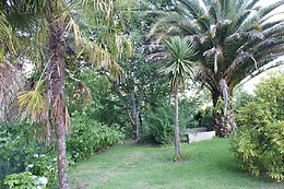 CASA DE CANHÕES