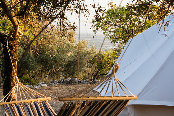 Glamping Shauri - photo 3