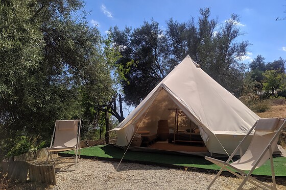 Glamping Shauri - photo 4