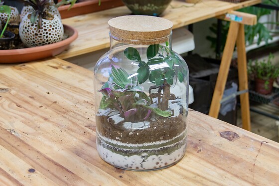 Be Végétal - photo 3