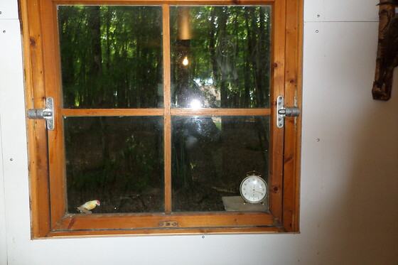 Le Bois Guillaume - photo 5