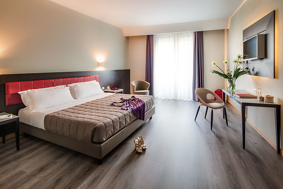 Hotel Da Vinci - photo 4