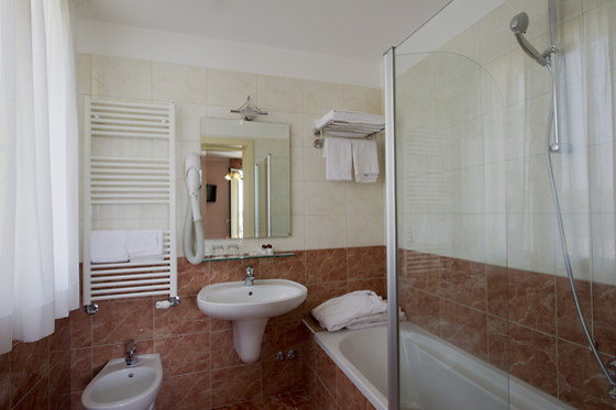 Viktoria Palace Hotel - photo 3
