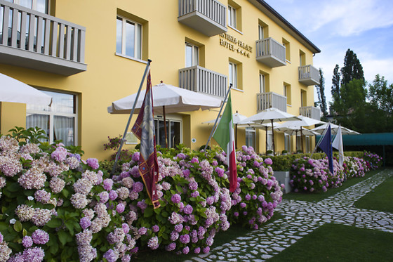Viktoria Palace Hotel - photo 9