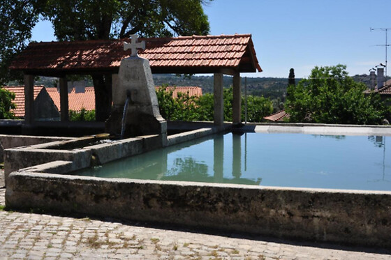 PINHEIRINHOS- QUINTA DE SÃO CAETANO - photo 10