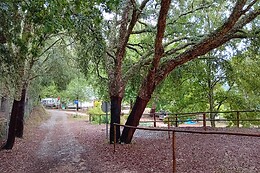 Parque de Campismo e Caravanismo de Pedrógão Grande