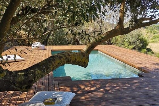 Biovilla - photo 1