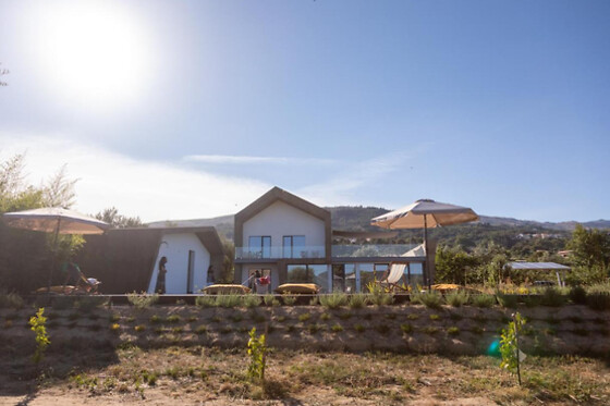 QUINTA DA SRA MAROCAS - photo 3
