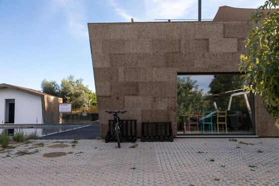 QUINTA DA SRA MAROCAS - photo 11