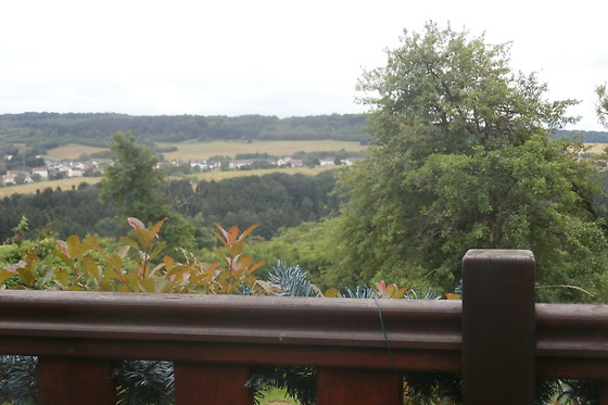 Le Chalet du Chemin et sa Roulotte - photo 11