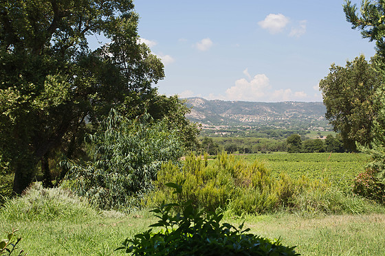 Les Figuiers - photo 15