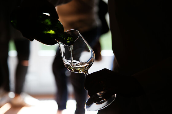 Château Le Noble - photo 5
