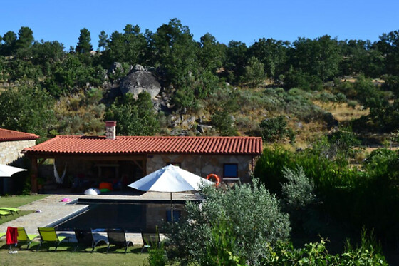 Carya Tallaya - photo 2