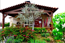 Carya Tallaya
