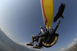 PARAPENTE SANTA POLA