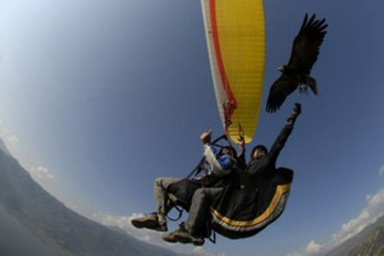 PARAPENTE SANTA POLA - photo 3