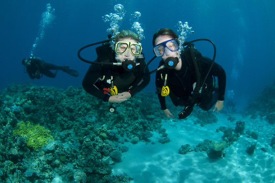 ECO-DIVE - photo 3
