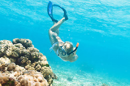 OPEN WATERS