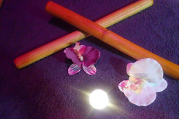 WELLNESS AVENIDA