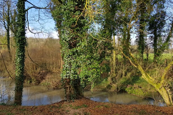 Domaine de Wail - photo 16