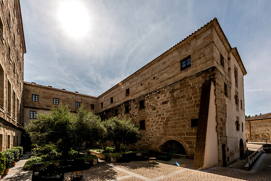 HOSPES PALACIO DE SAN ESTEBAN - photo 10