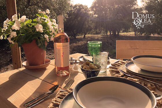 Domus Olea - photo 1