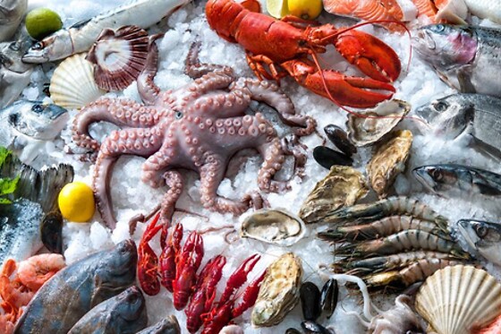 Torino Seafood Bar - photo 8