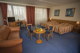 Top Hotel Praha