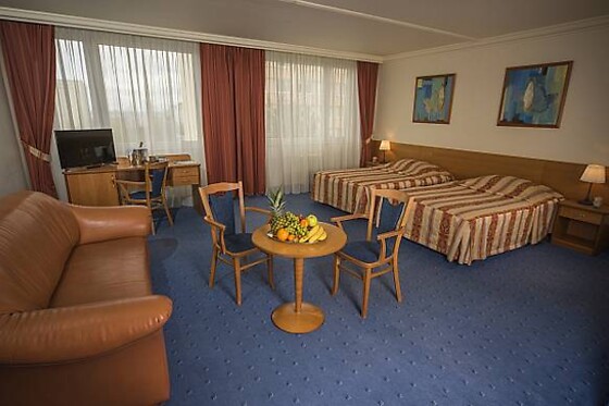 Top Hotel Praha - photo 1