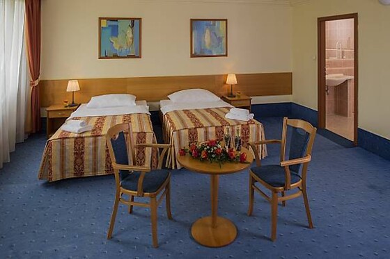 Top Hotel Praha - photo 0