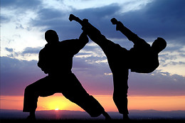 Swiss Dojo