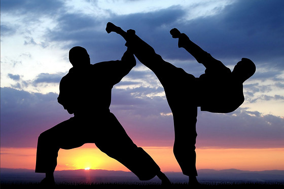 Swiss Dojo - photo 0
