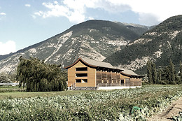 Swiss Dojo