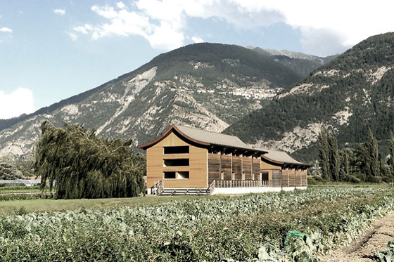 Swiss Dojo - photo 2