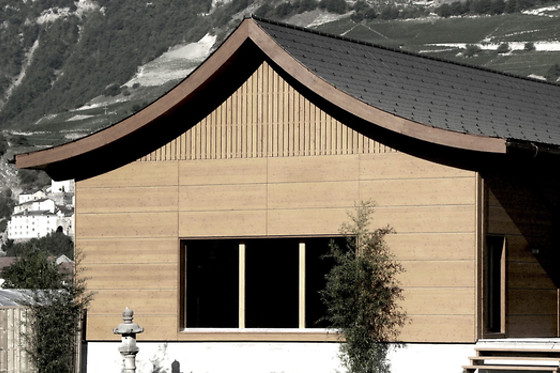 Swiss Dojo - photo 3