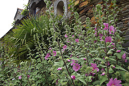 Le Clos du Tay