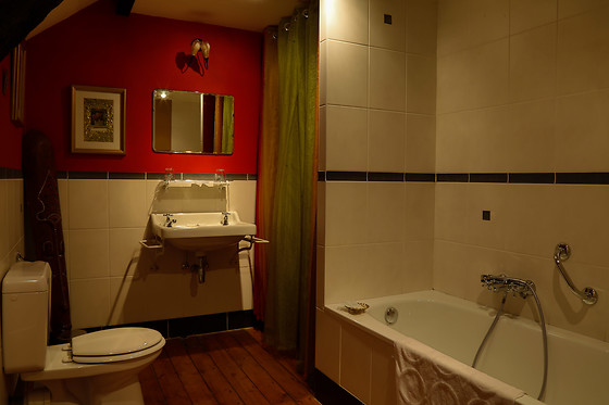 Boutique Hotel Dufays - photo 6