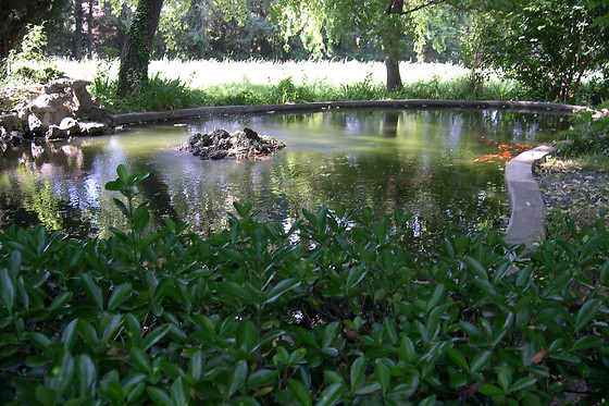 Embarben - photo 8