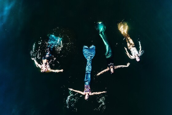 Mademoiselle Synchro - photo 0