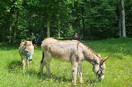Ferme équine La Ravena