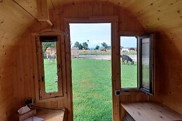Ferme équine La Ravena