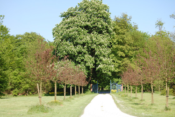 Manoir de la Plane - photo 1