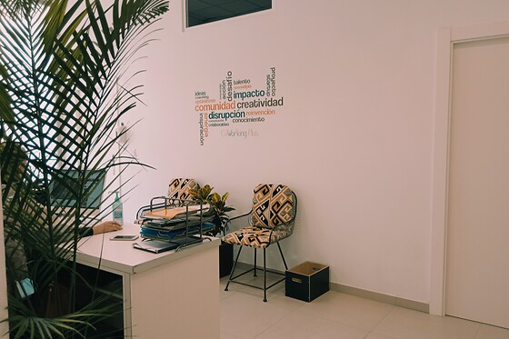 HERBOSALUD Y TERAPIAS - photo 3