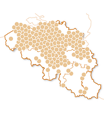 Spannende activiteiten